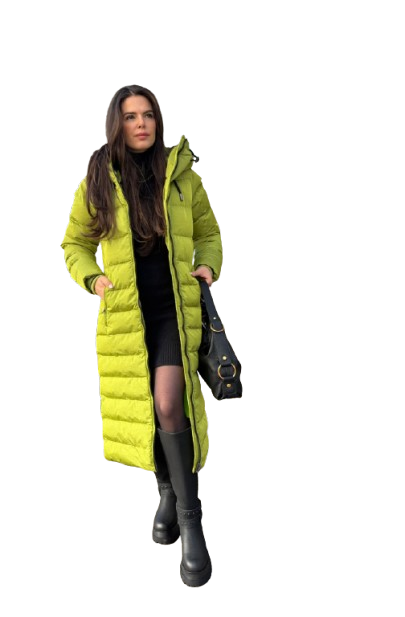 model2