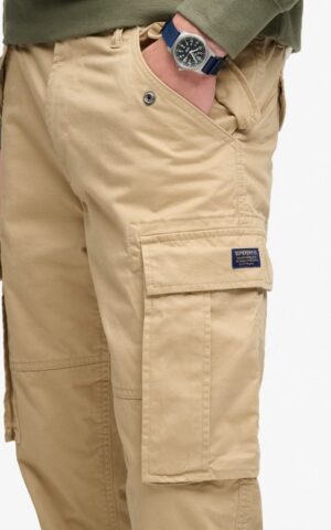 upload9223368955666920308